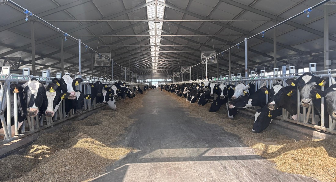 Субсидияның қайтарымы бола ма?