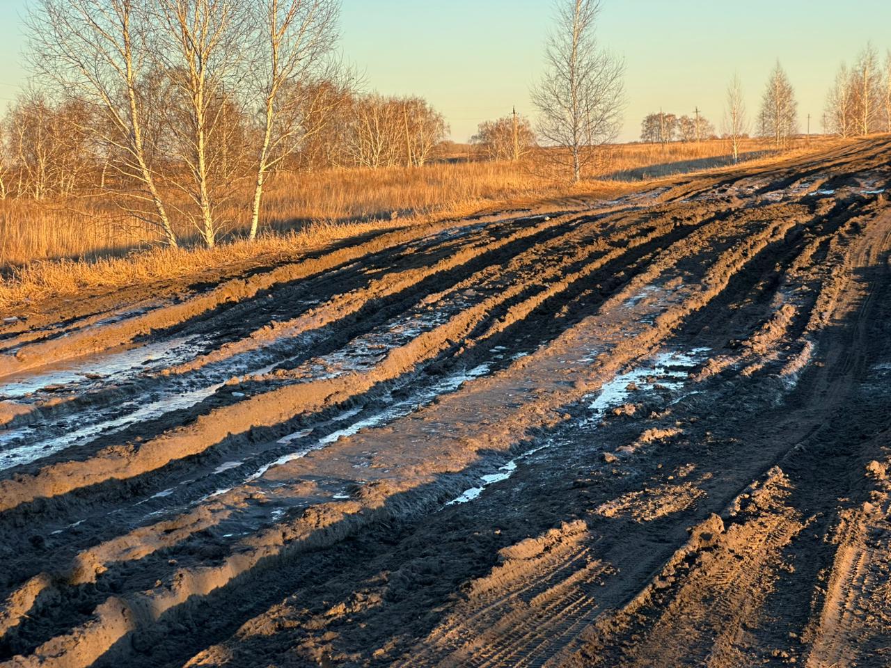 Шекара шебіндегі ауылдардың ахуалы алаңдатады