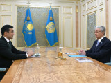Президент «Бәйтерек» ұлттық инвестициялық холдингінің басқарма төрағасын қабылдады