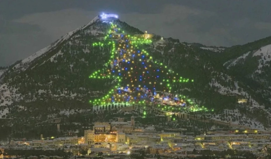 Ең жарық шырша