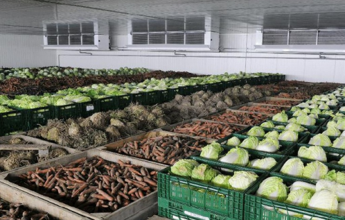 Логистикалық орталық көкөніске толады