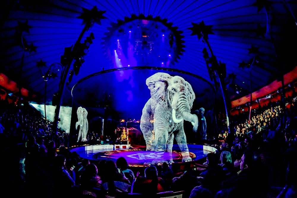 Жануарсыз цирк