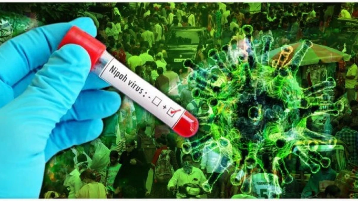 Дәрігерлер де дәрменсіз: Үндістанда емі жоқ вирус тарады