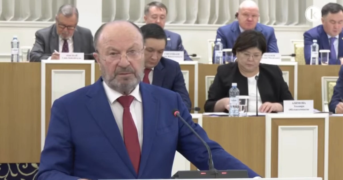 Исидор Борчашвили: Конституциялық реформа – құқықтық бірлік пен адамға бағдарланған таңдау