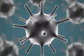 Жаңа қауіпті вирус: Үндістаннан келген адамдар ерекше бақылауда болады