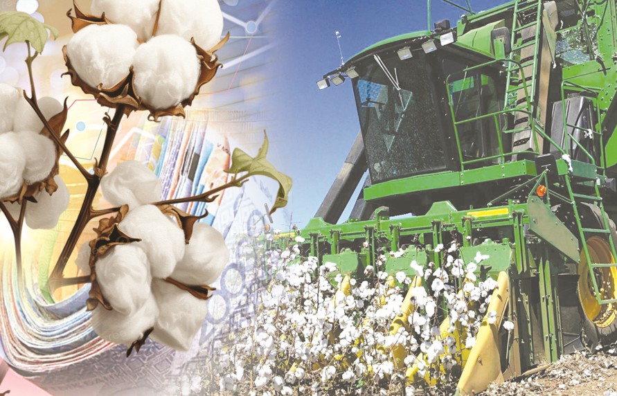 Мақта-тоқыма кластері: Жаңа индустриялық кезең