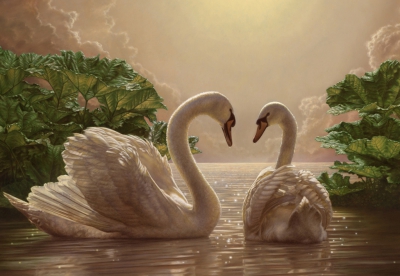 Аққу әйгілеген ақиқат