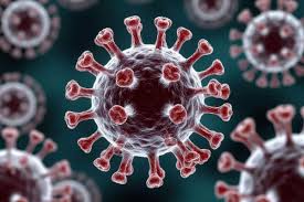 Қауіпті Нипах вирусы және қызылша: Қазақстан шекарада бақылауды күшейтті