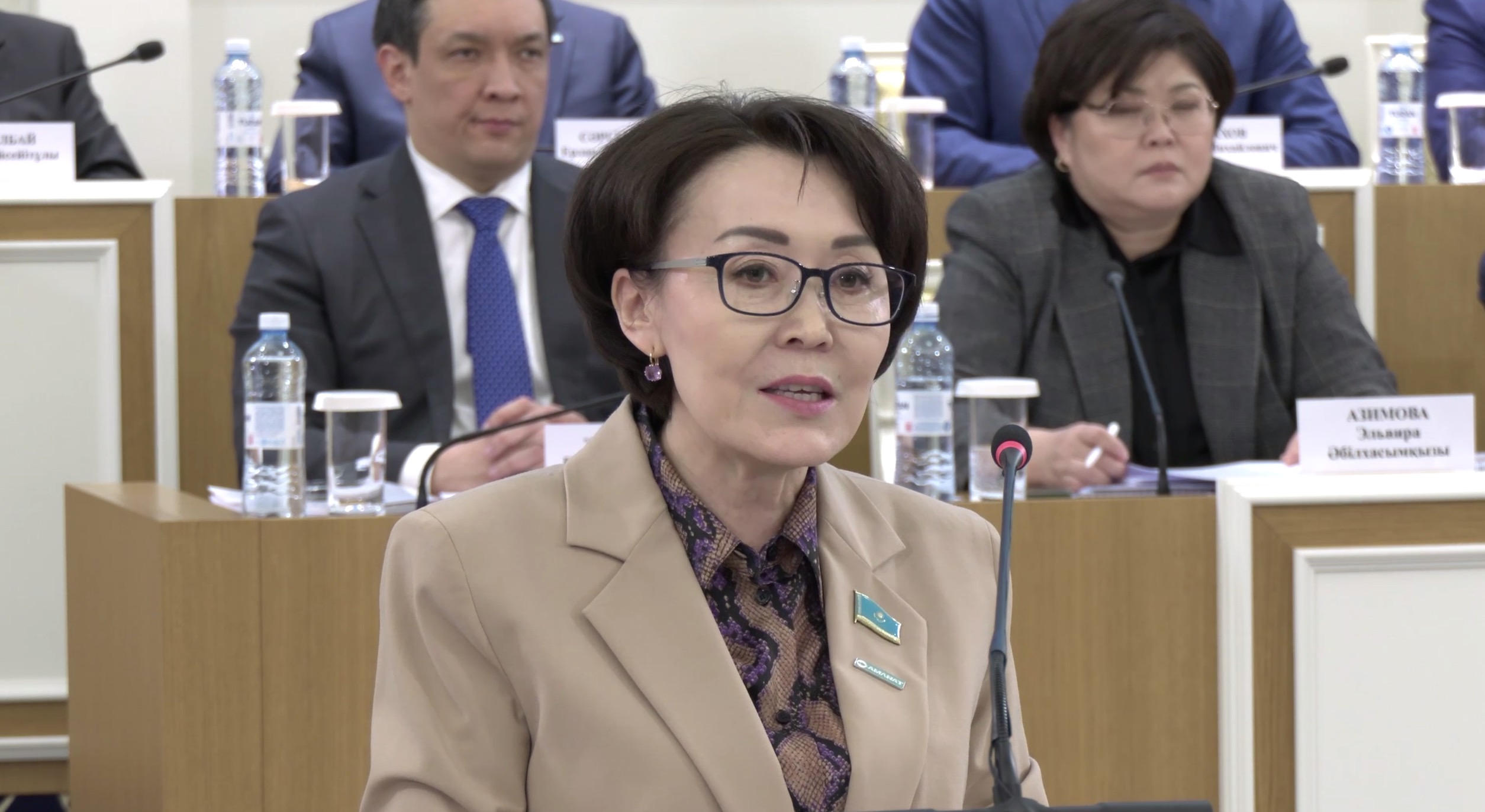 Үнзила Шапақ: Жаңа Конституция жобасында тарихымыз алғаш рет мызғымас ұлттық құндылық ретінде танылды