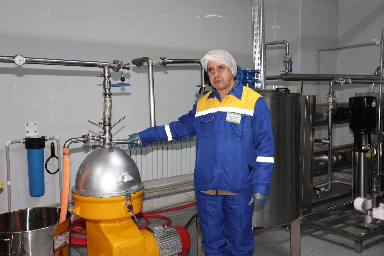 Түйе сүті шетел нарығына шығады