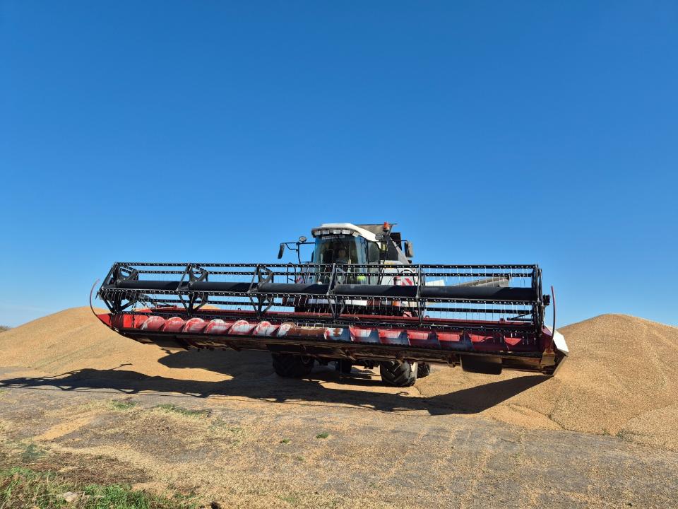 Ақмола облысында фермерлер қандай шартпен жеңілдетілген несие алады?