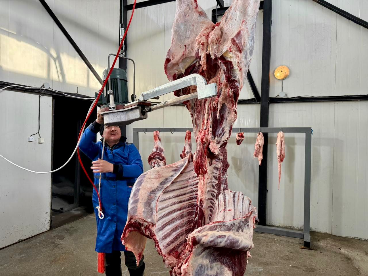 Шеңгелді ауылында мал сою пункті іске қосылды