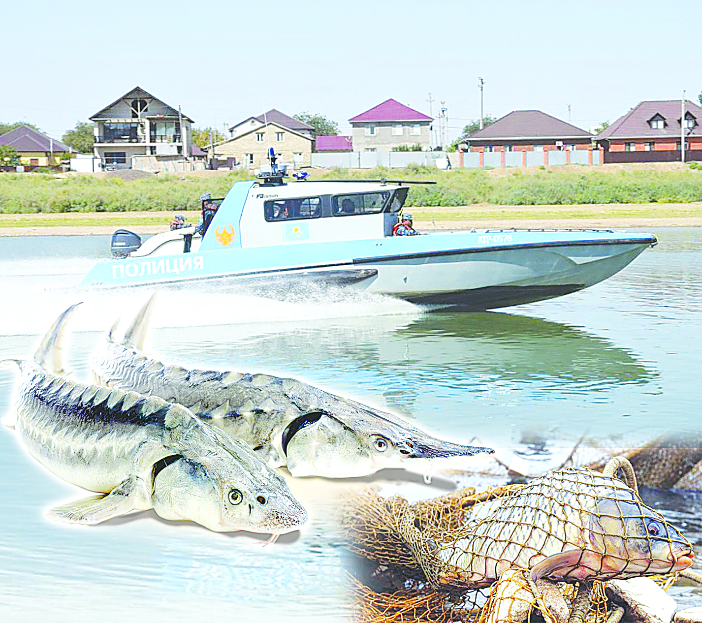 Өскеменде заңсыз ауланған 4 тоннадан астам балық тәркіленді