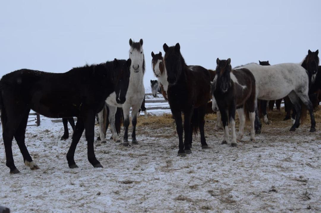 Шаруашылық іріленбей, ауыл көркеймейді