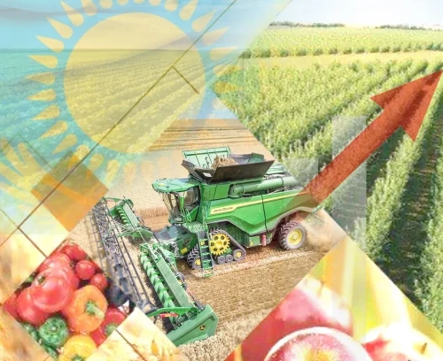 2025 жылы 83 ауыл жойылды: Елді мекендердің ертеңгі тағдыры қандай?