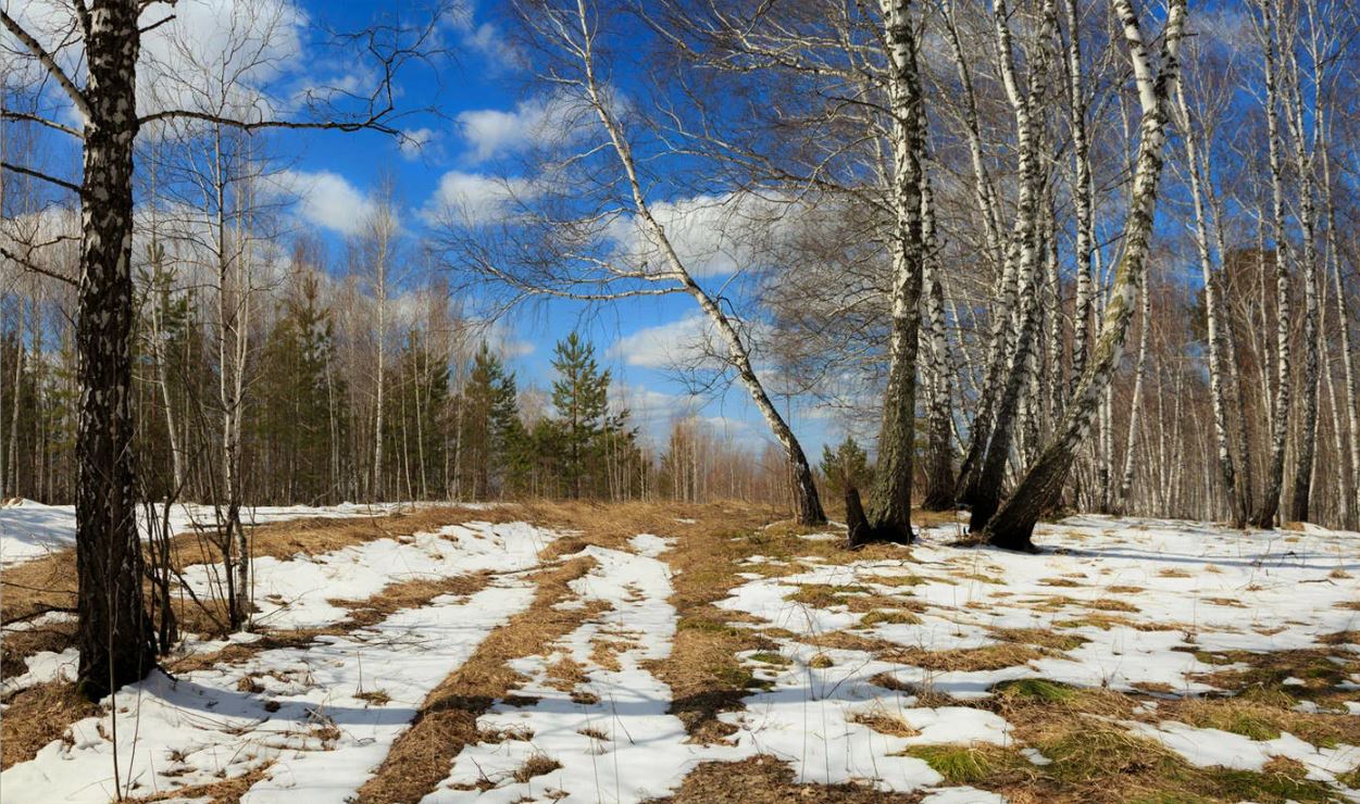 Табиғат сынағына тосқауыл