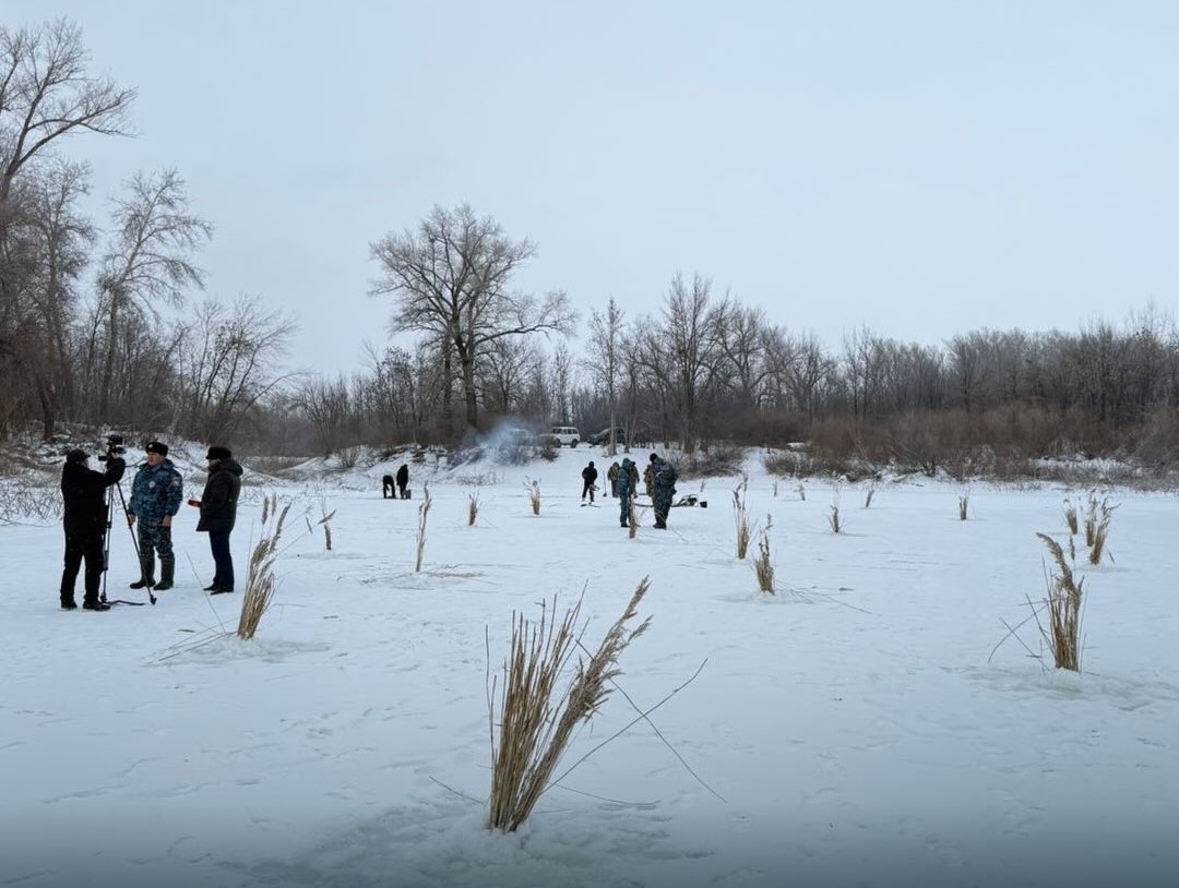 Алабұғаға да ауа керек