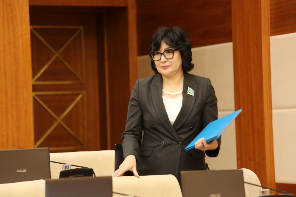 Депутат Ирандағы балалардың тағдырына алаңдаушылық білдірді