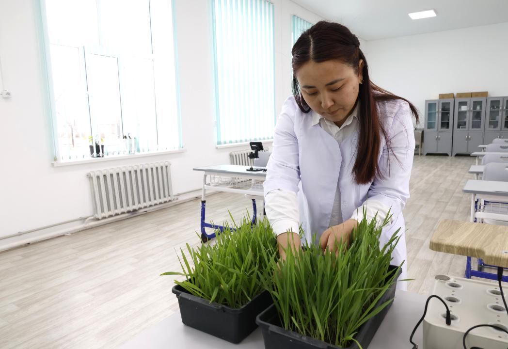 Жетісудағы жаңа мамандықтар легі