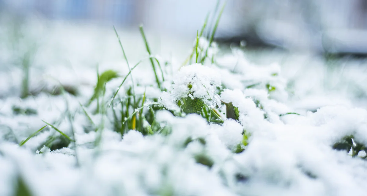 Бүгін елдің басым бөлігінде қолайсыз ауа райы күтіледі