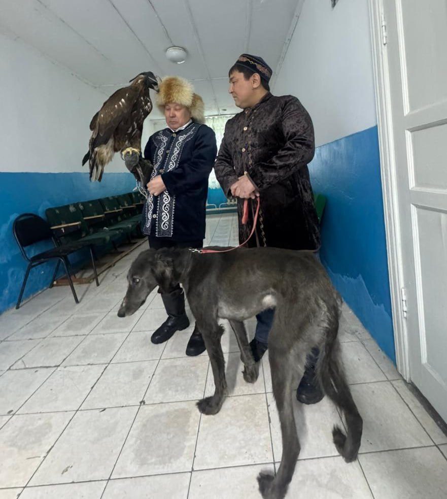 Ақмола облысында ерекше көрініс: сайлаушылар учаскеге бүркіт пен тазы алып келді