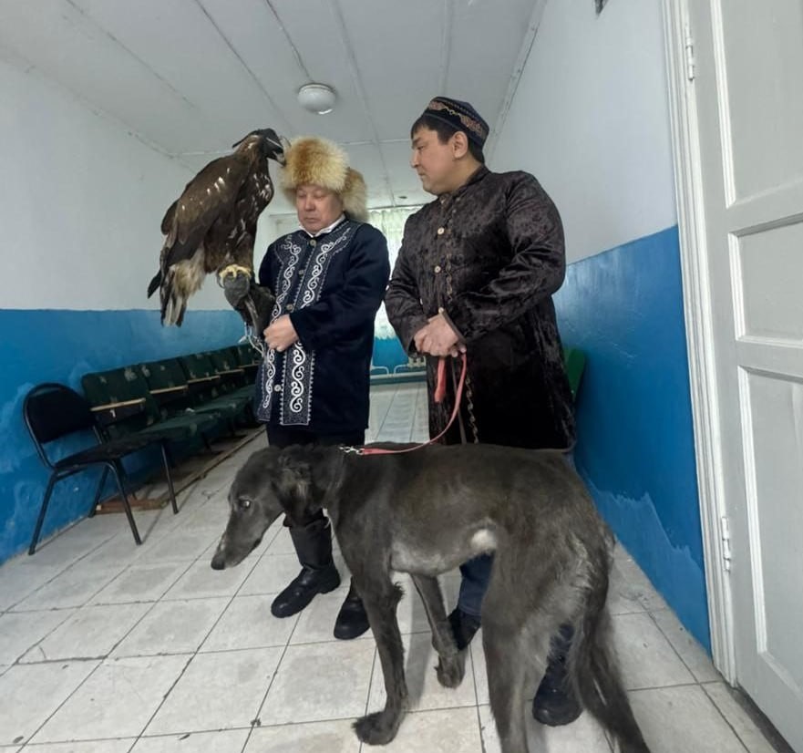 Ақмола облысында ерекше көрініс: сайлаушылар учаскеге бүркіт пен тазы алып келді