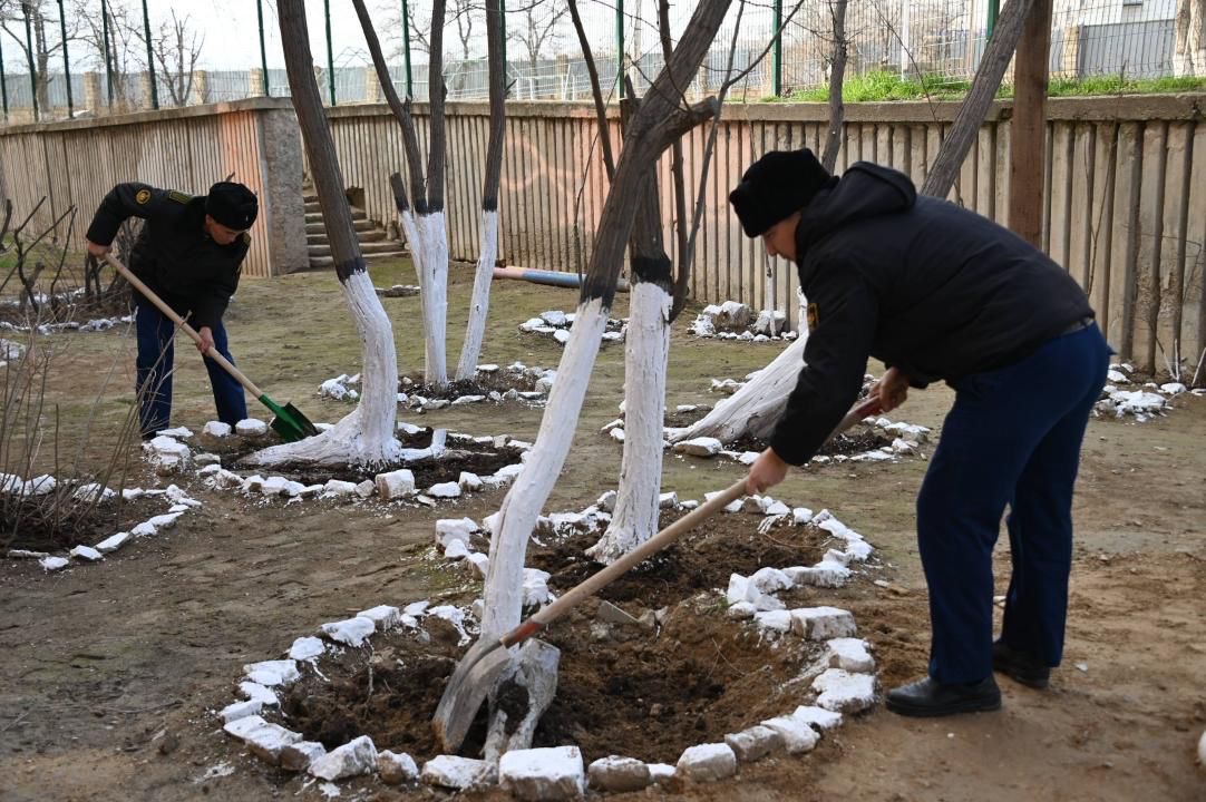 Әскери қызметшілер Тазару күні ағаш көшеттерін отырғызды