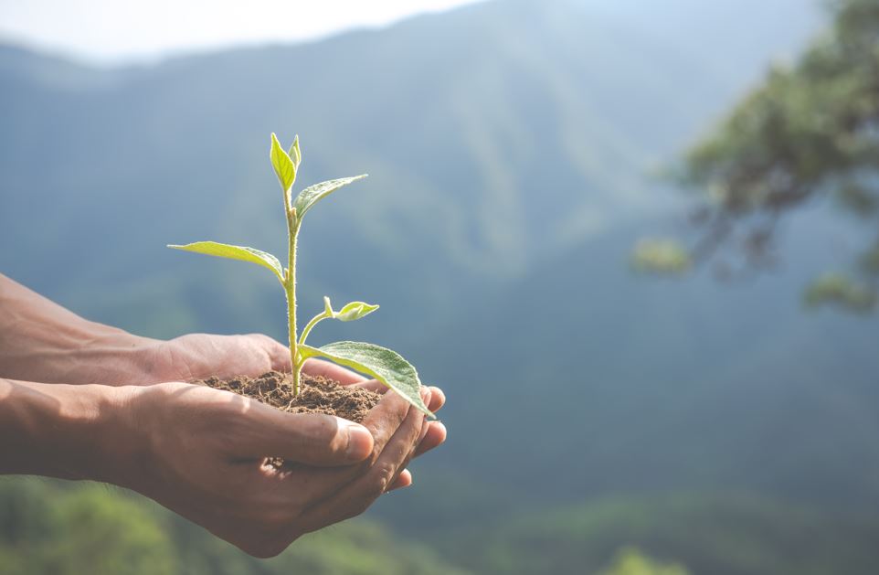 Ұлттық білім академиясы экологиялық білім стандартын әзірлеп жатыр