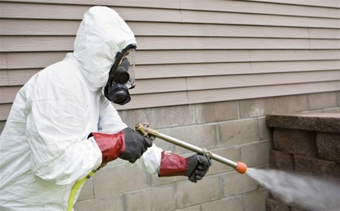 Астанада кеміргіштерге қарсы көктемгі күрес науқаны басталды