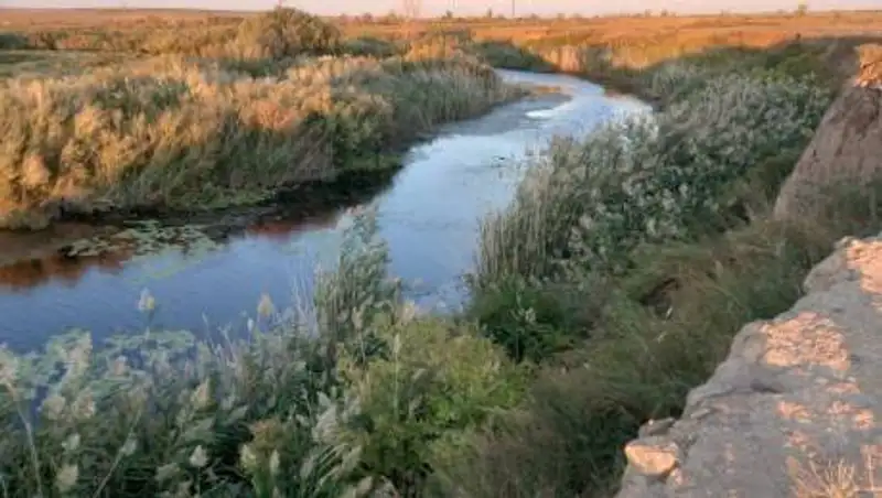 Ақтөбе облысында жоғалған 10 жастағы бала Елек өзенінен іздестіріліп жатыр