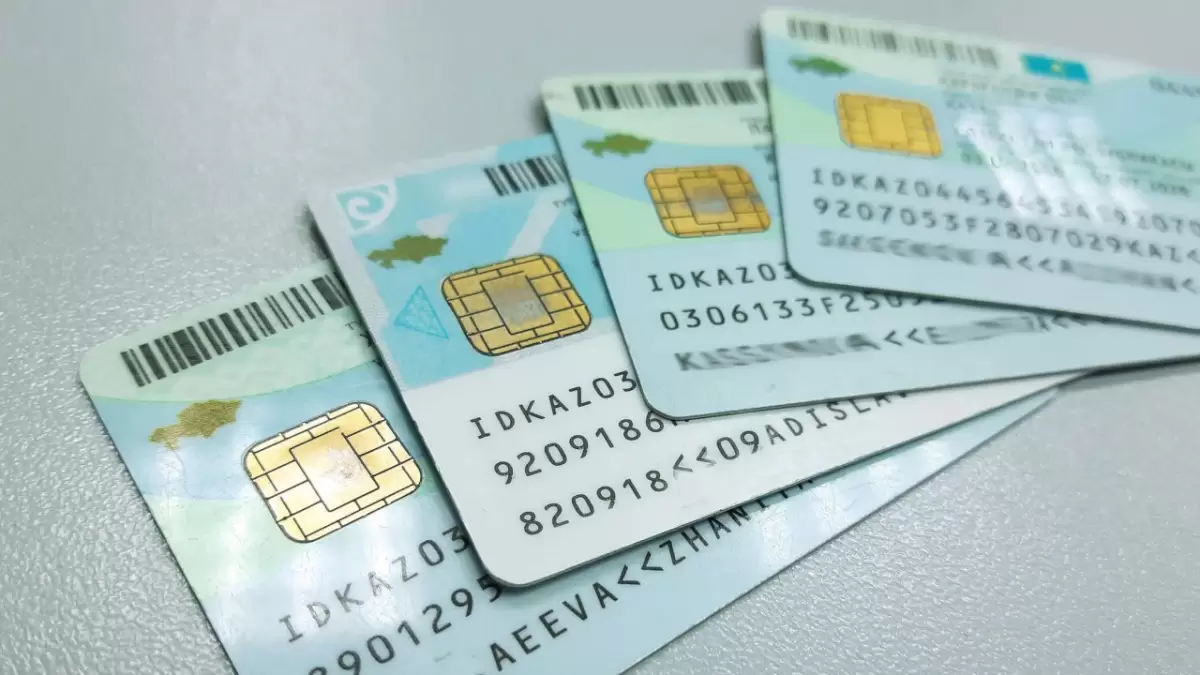 Қазақстанда шетелдіктерге ЖСН беру уақытша тоқтатылады