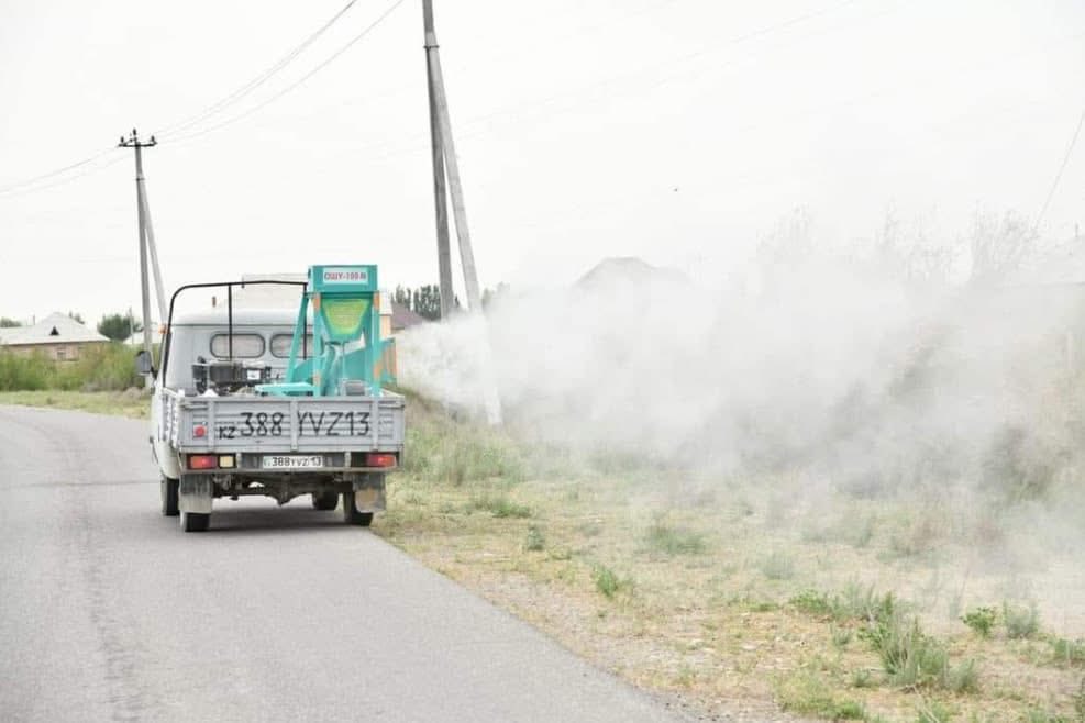 Шегірткеге қарсы күрес қарқын алды