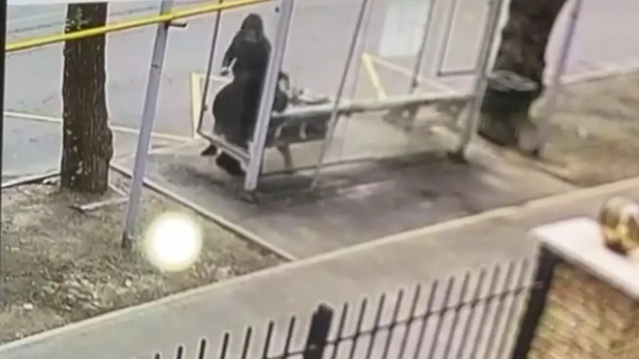 Аялдамадағы аяусыздық: Күдікті бұрын адам өлтіргені үшін сотталған болып шықты