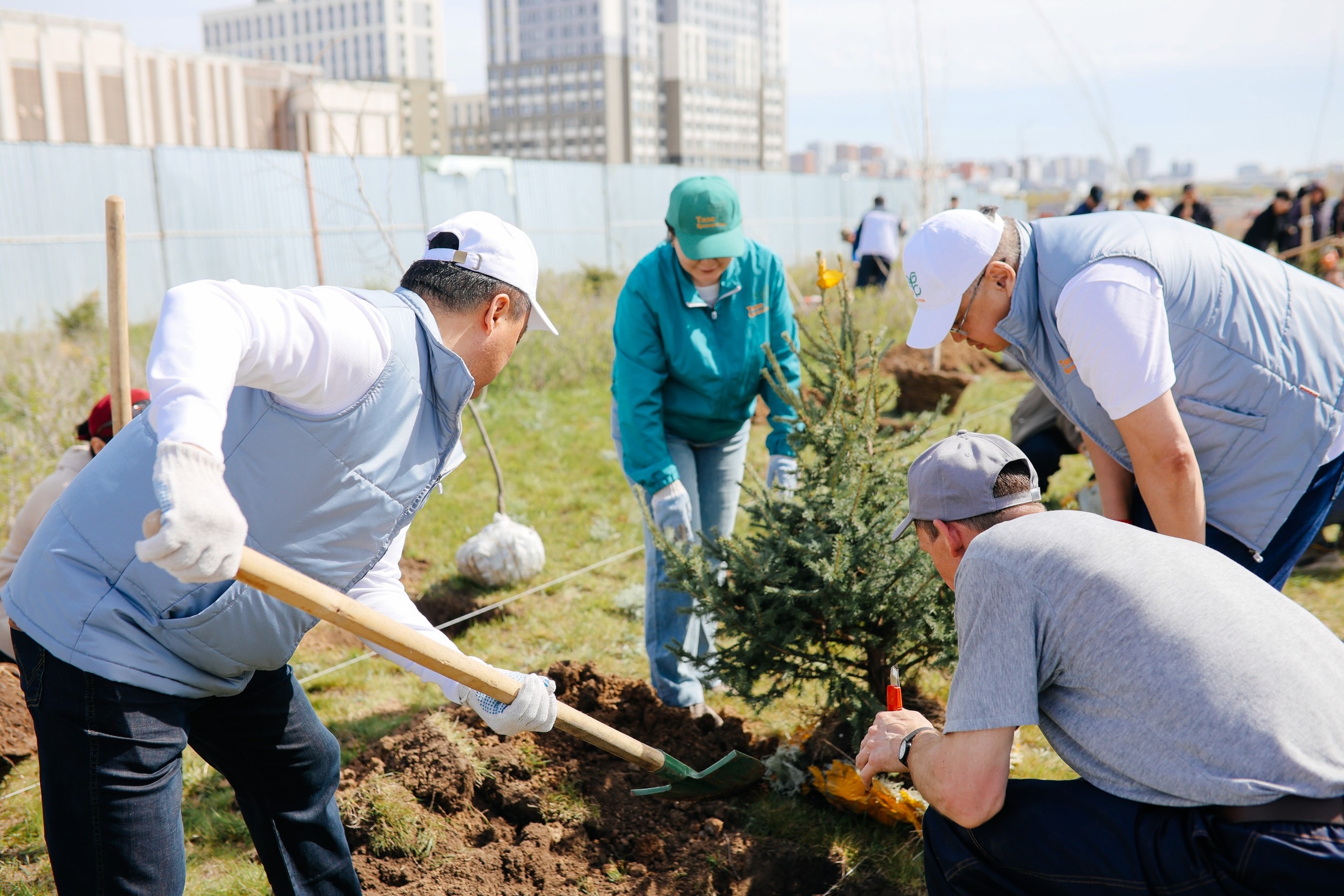 Астанада түрлі сала қызметкерлері бірлесіп ағаш отырғызды