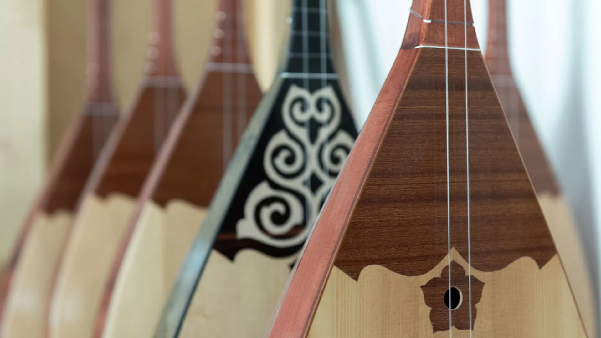 Енді домбыраны ұшақ бортында алып жүруге болады