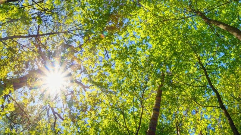 Сыртқа көп шықпаған жөн: Бүгін төрт қалада қолайсыз метеожағдай күтіледі