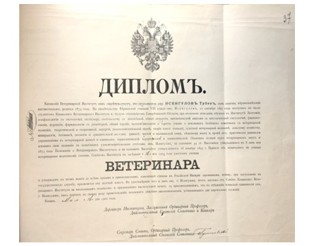 д