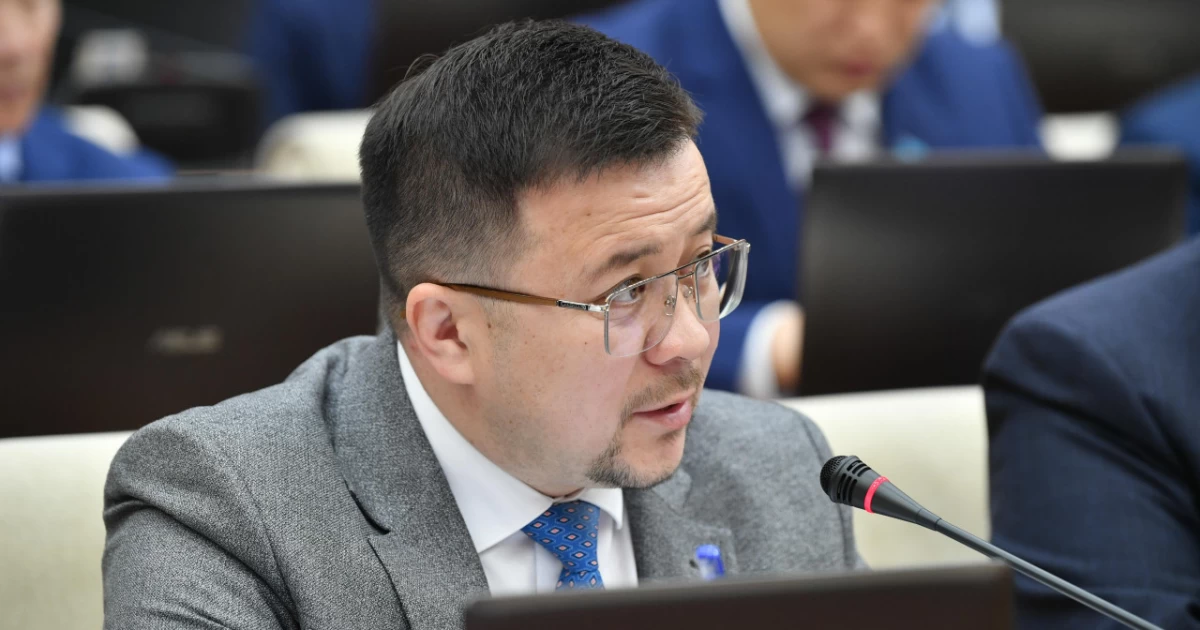 Қазақстанда шетелдік қаржыландыруды бақылау жүйесін қайта қарау ұсынылды